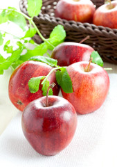 frische rote Äpfel