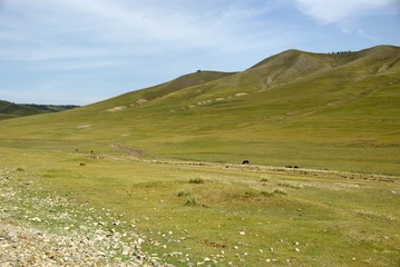 Paysage, Mongolie