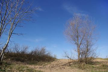 Fototapeta premium The coast of Finnish Gulf