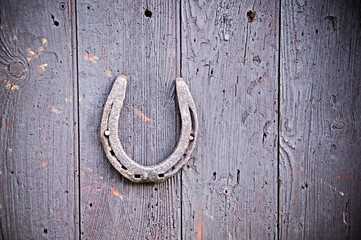 Lucky Horseshoe