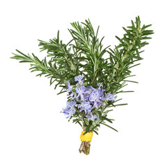 Rosemary Herb Flowers