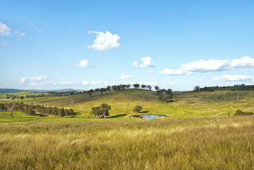 Fototapeta premium Australian Landscape