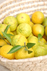 柚子とミカンの入ったバスケット