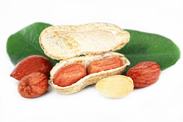 Арахис на белом фоне