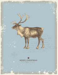 retro christmas/winter background with reindeer © Anja Kaiser