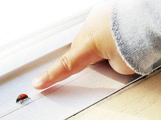 幼児の指とてんとう虫