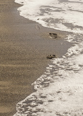 Am Strand