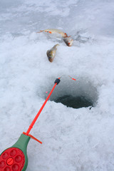 Ice Fishing