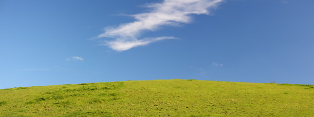 XXL-Hintergrund von Wiese mit blauem Himmel