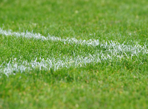 Fußball Rasen Ecke rechts - Soccer Pitch Detail