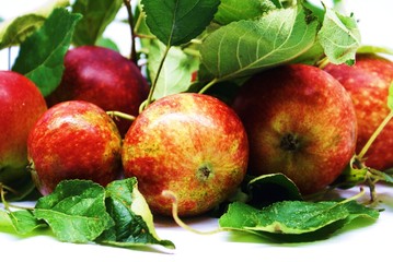 Äpfel mit Blätter