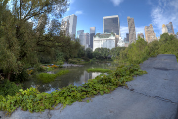 VIew of Central Park South