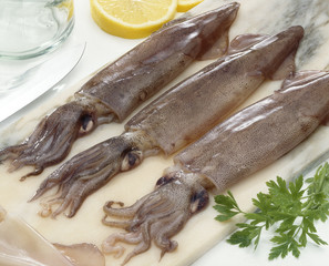 Raw squid