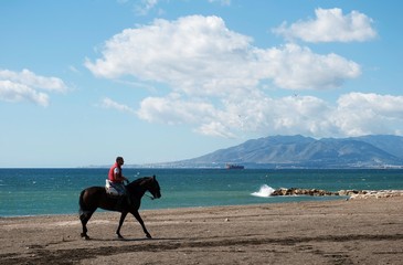 Caballo en la playa