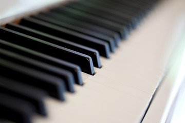 piano musique clavier touche pianiste percussion