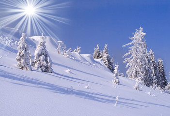 Beautiful winter landscape in the Carpathian mountains