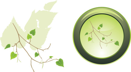 Button with sprig of birch. Vector