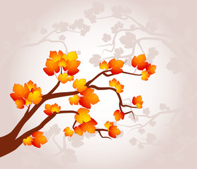 Background with autumnal tree with leaves.