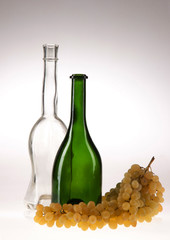 Two bottles and grapes