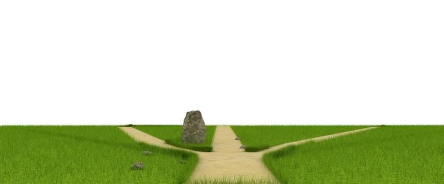 Divarication at green field near the huge stone