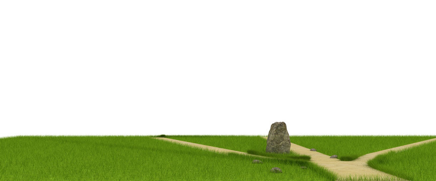 Divarication at green field near the huge stone