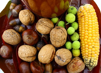 fruits ,composition d'automne