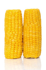 corn cobs