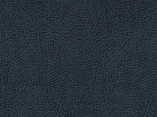 Embossed paper: Leather imitation. Artificial Leather. - obrazy, fototapety, plakaty
