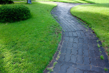 Fototapeta premium Concrete block path in green garden.