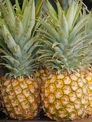 Obraz premium Ananas
