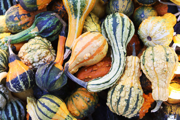 decorative autumn background