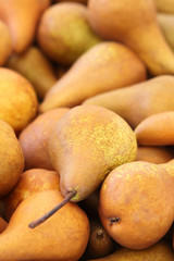 bunch of pears