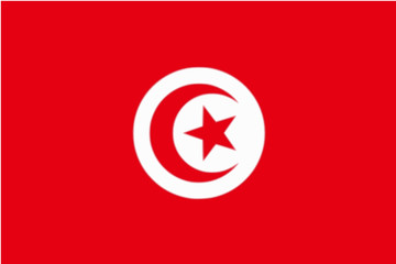Drapeau de la Tunisie - obrazy, fototapety, plakaty