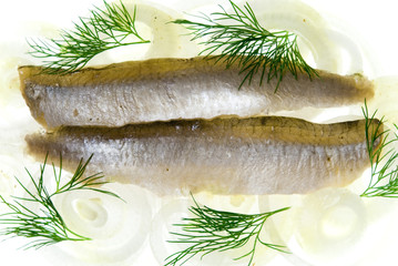 filete de sardina