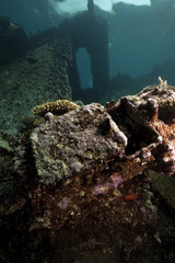 the remains of the Kormoran shipwreck