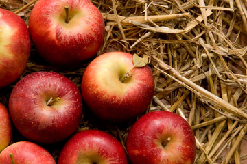 Apples on straw