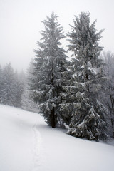 Polskie góry Beskidy zimą