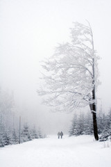 Piękne polskie góry Beskidy zimą