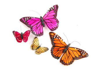 Obraz na płótnie Canvas Cztery kolorowe motyle