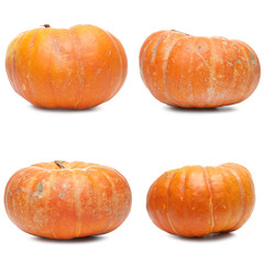 Four fresh pumpkin