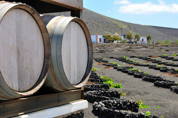 la geria - weinanbau