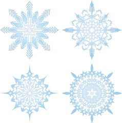 Cristallo di Neve-Crystal Snowflake-Vector