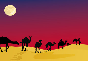 camels in night desert