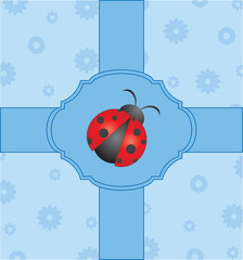 Vector cute card with ladybug