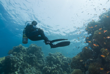 Adult male scuba diver performing a safety stop underwater.