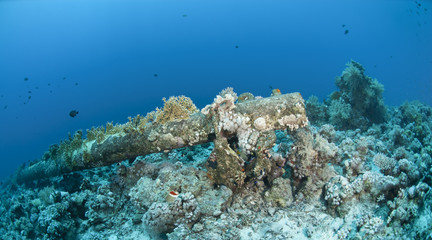 Fototapeta na wymiar Wrecked mast of the sunken Yolanda ship, an artificial reef.