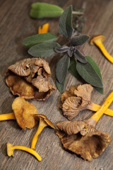 Trompetenpfifferlinge mit salbei