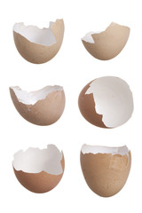 Study of six broken egg shells.