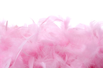 Pink feathers pile | Isolated