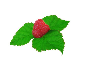 Ripe red raspberry